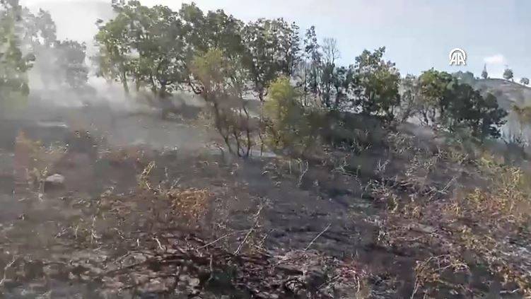 Bingöl'deki orman yangını söndürüldü 8